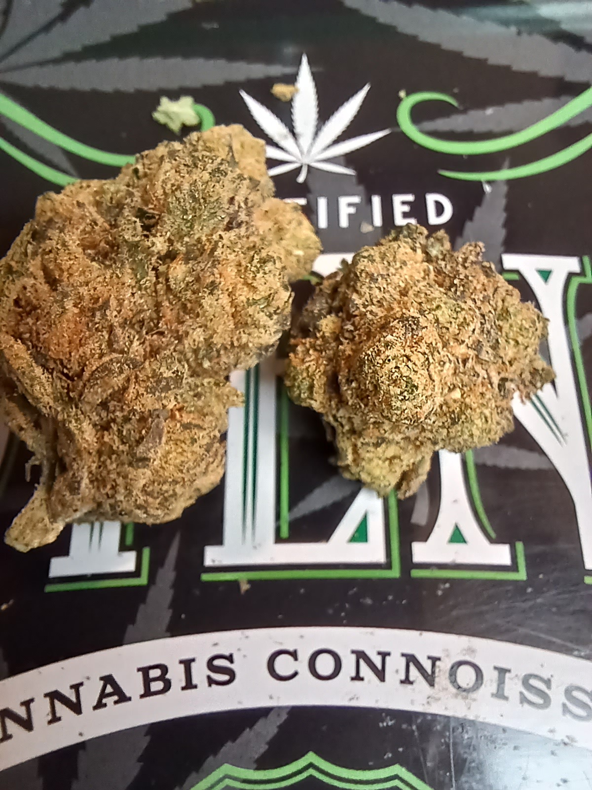 Chili Verde