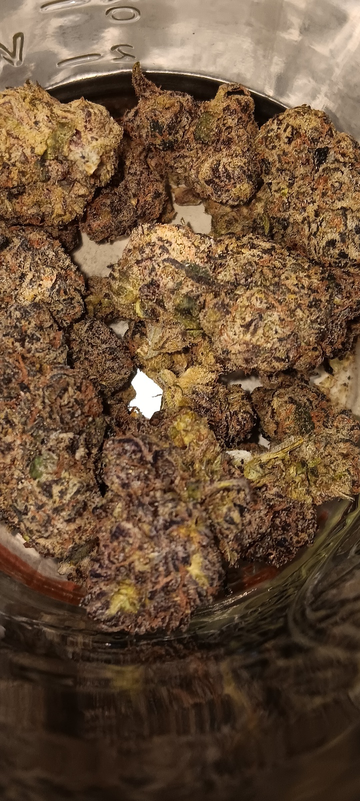 Chocolate Hashberry