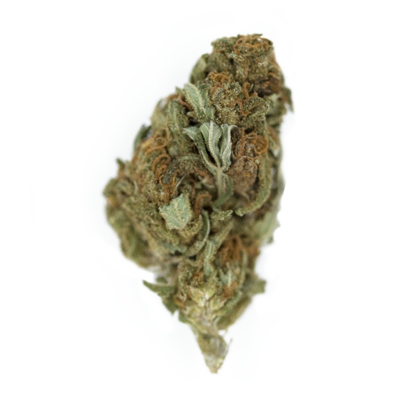 Chocolate Haze