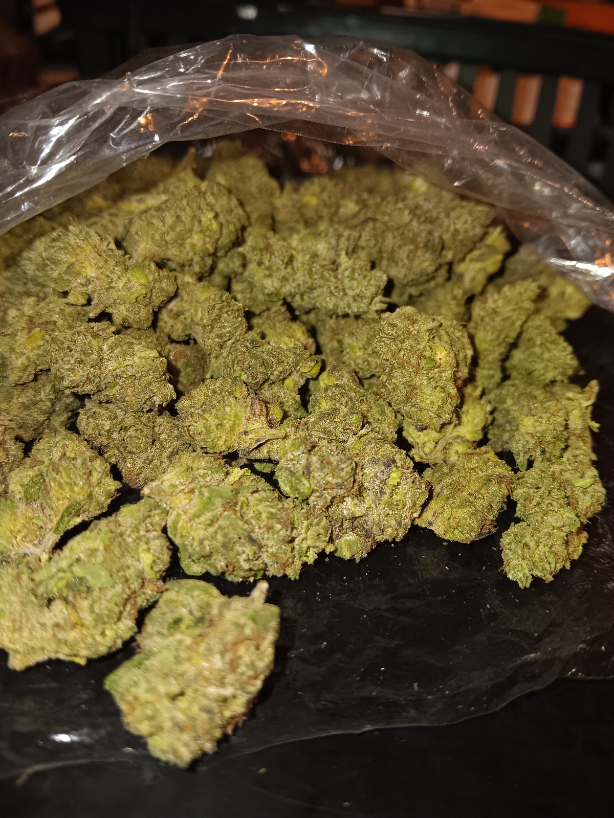 Christmas Cookies