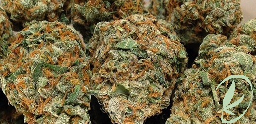Church OG