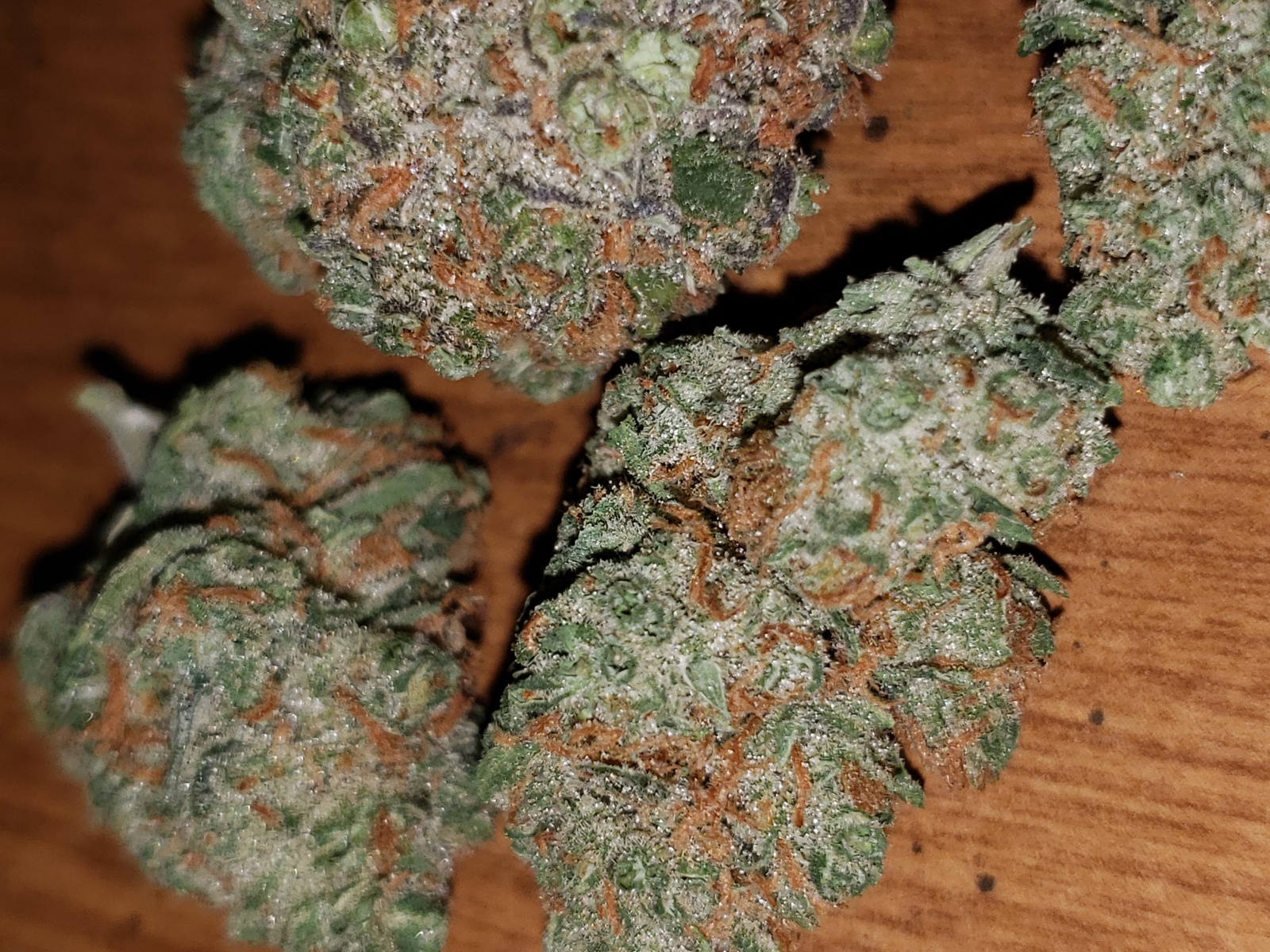 Citral Skunk