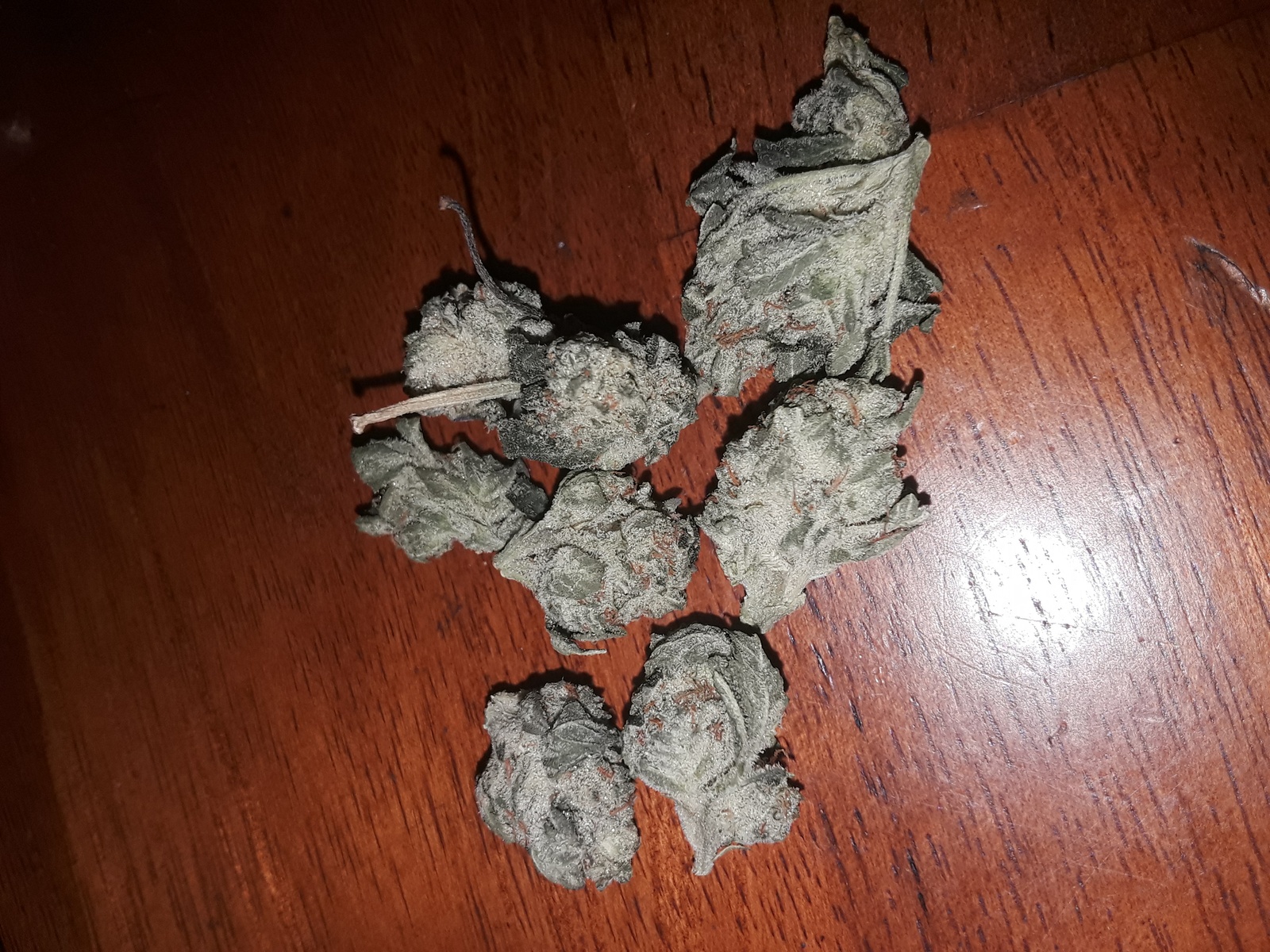 Clementine Kush