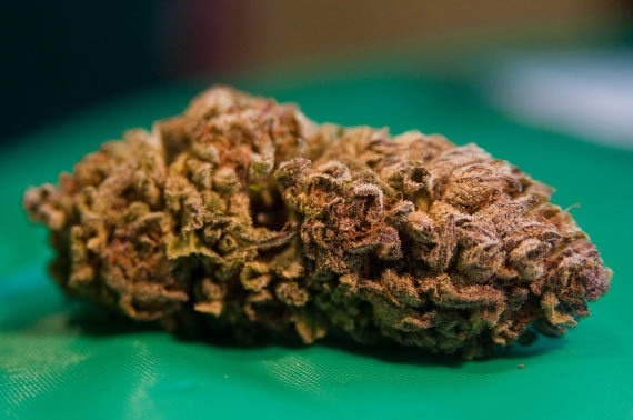 Cocoa Kush