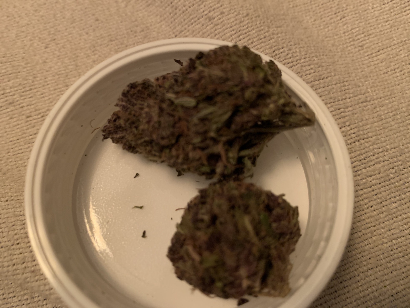 Collie Man Kush