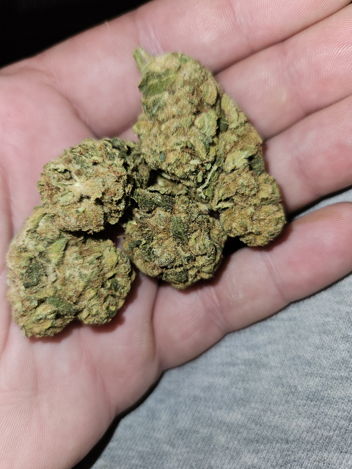 Commerce City Kush