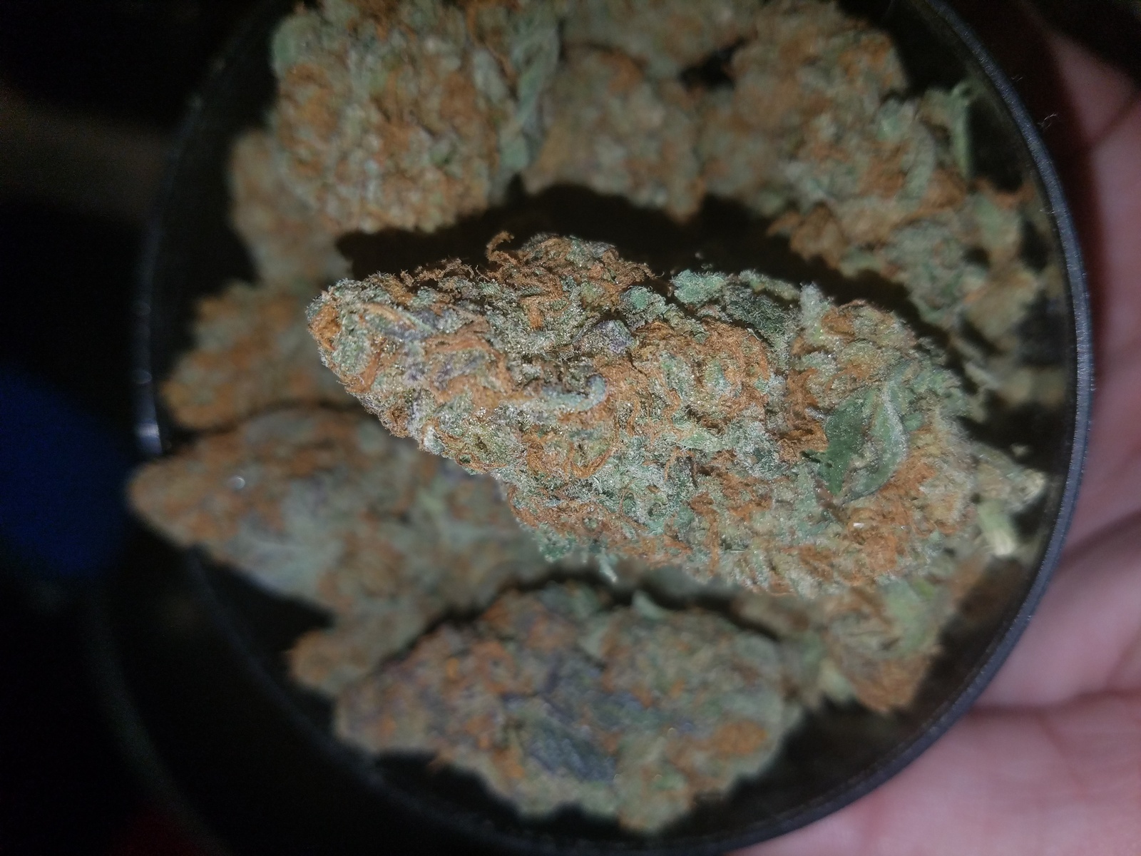 Conspiracy Kush