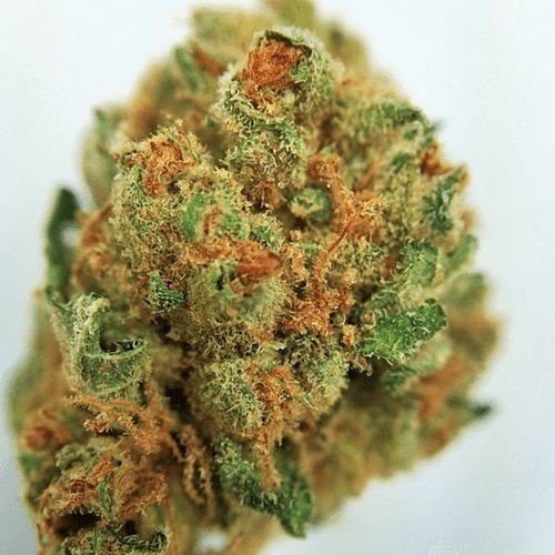 Corleone Kush