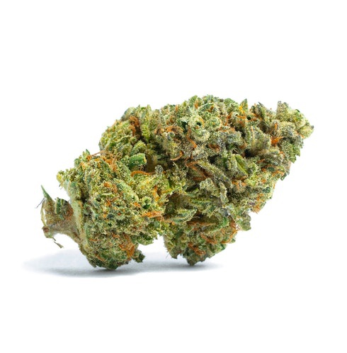 Cream Pie Kush