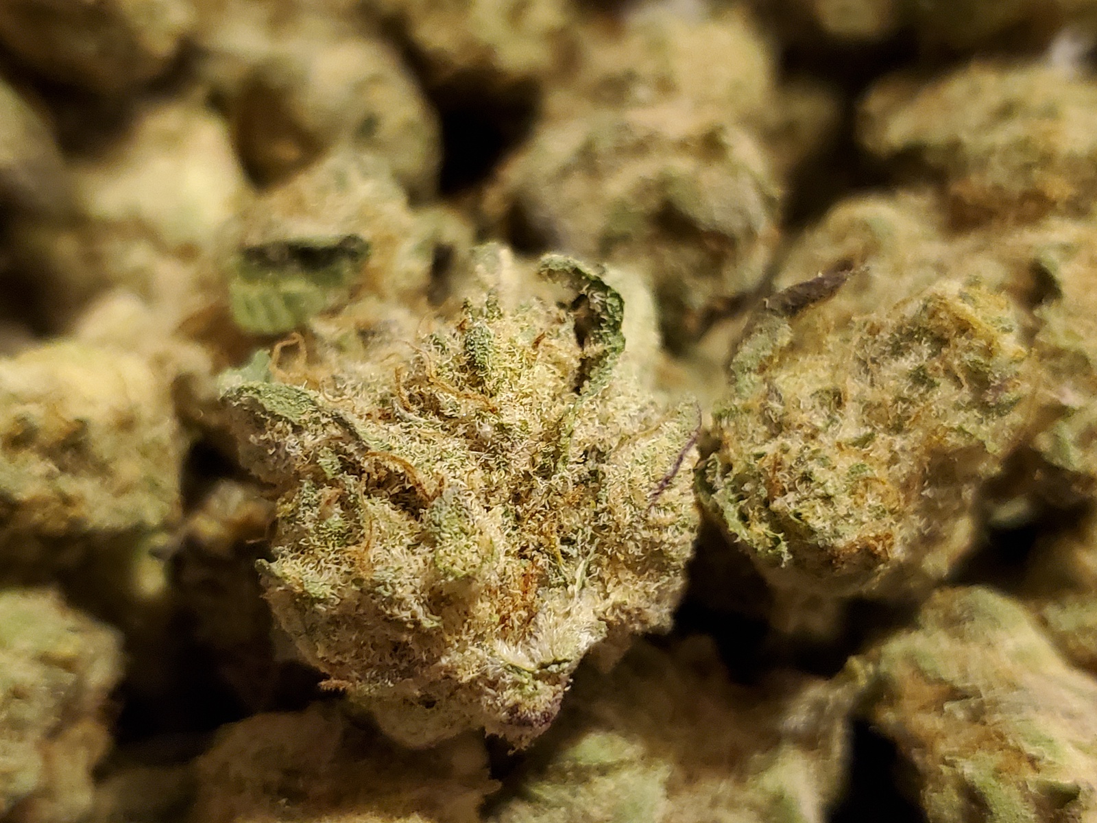 Cresco Cookies
