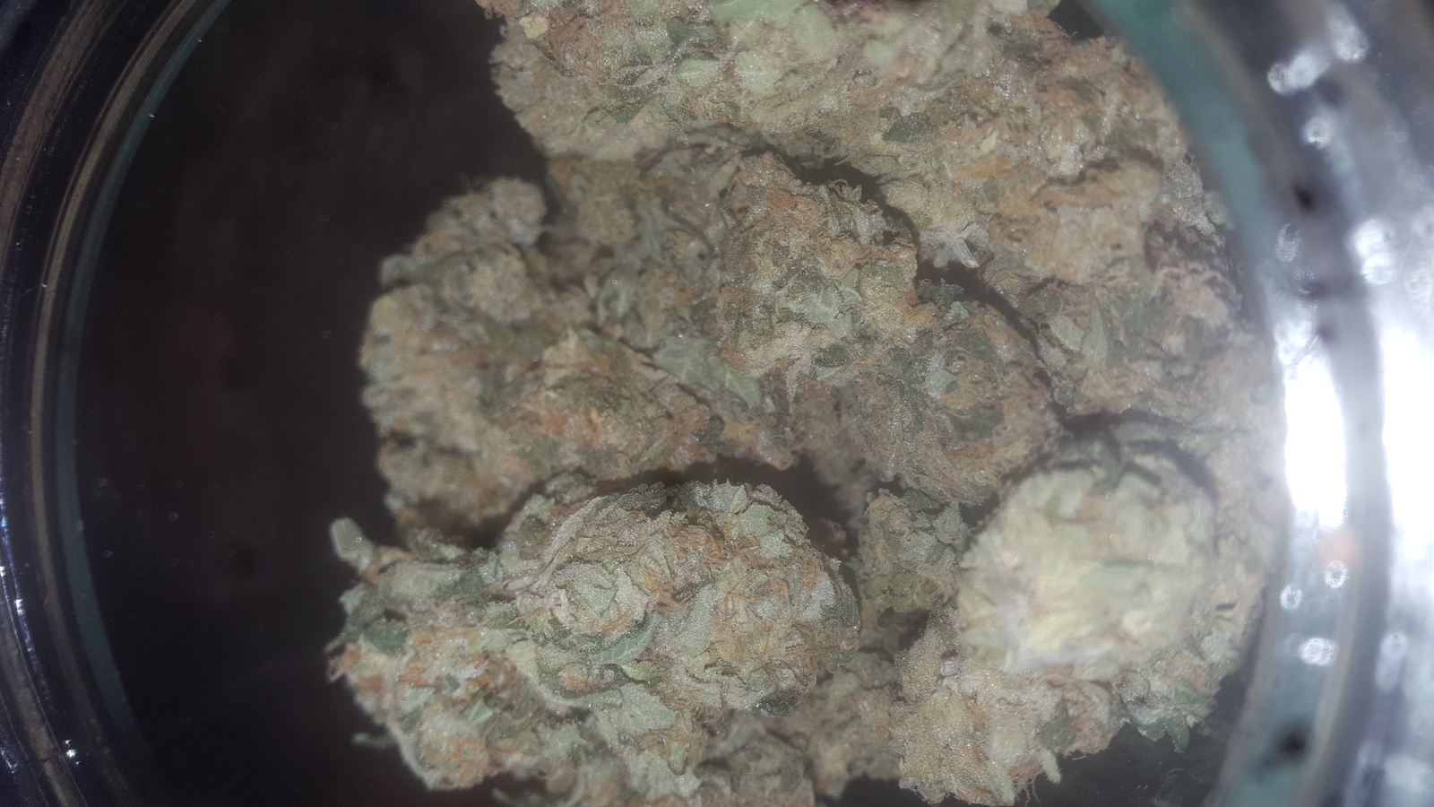 Critical Bilbo