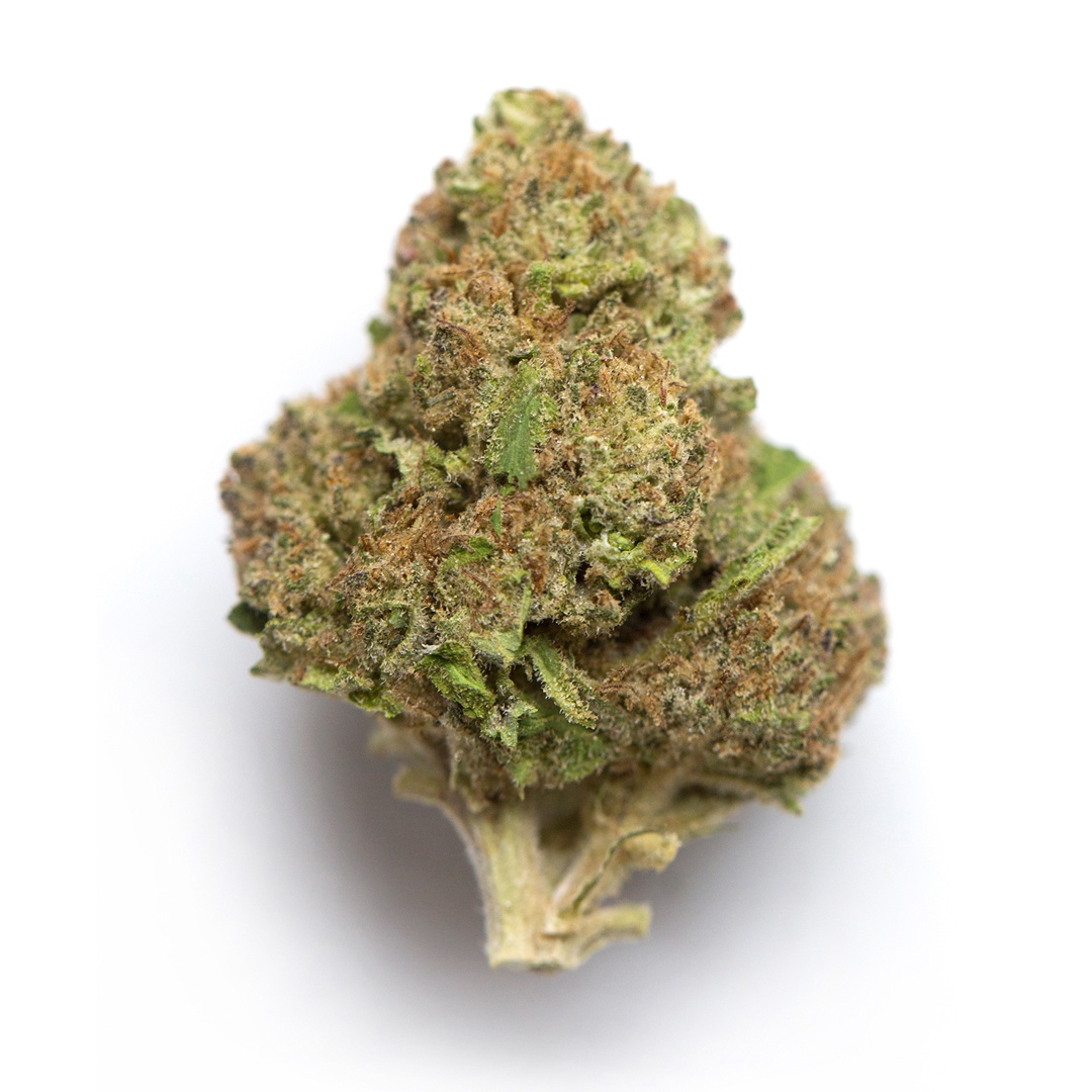 Critical Cheese
