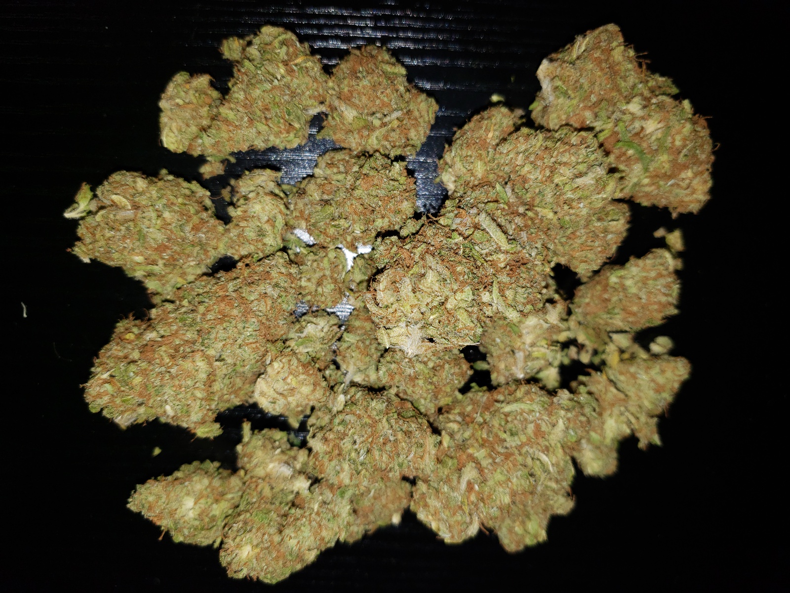 Critical Cure