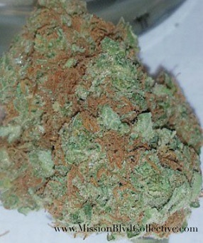 Critical +