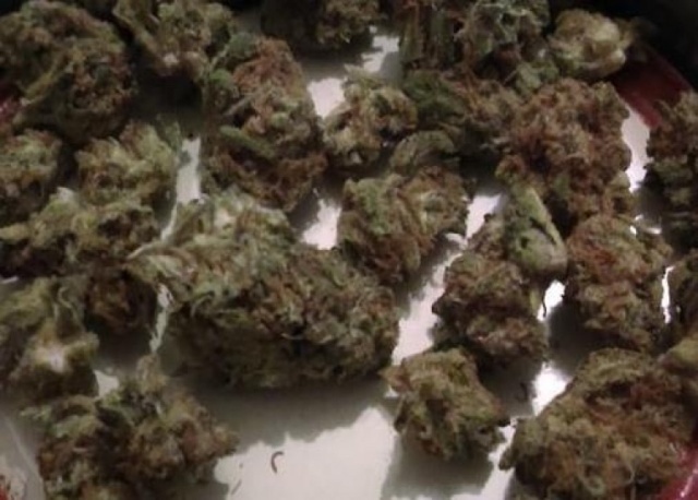 Crunch Berry Kush