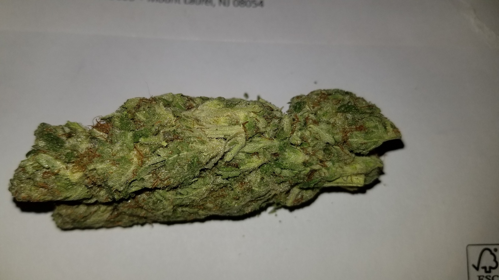 Danky Kong