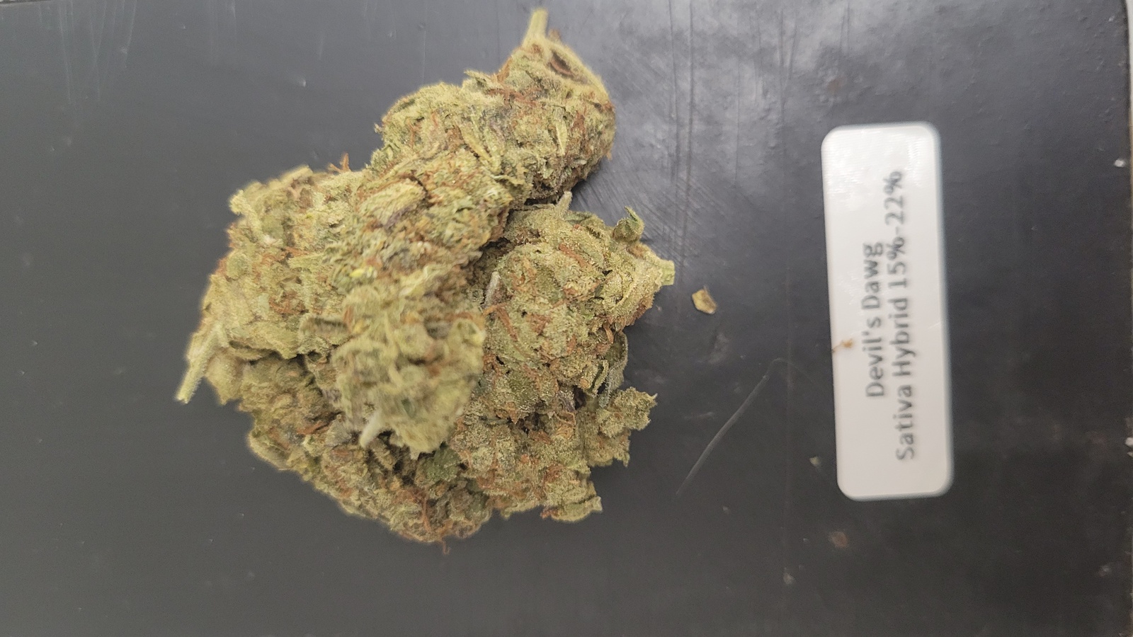 Devil's Dawg