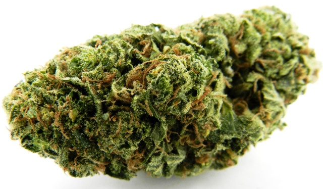 Diesel Thai
