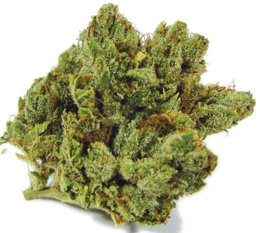 Dizzy OG