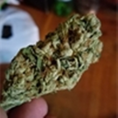 Do-Over OG