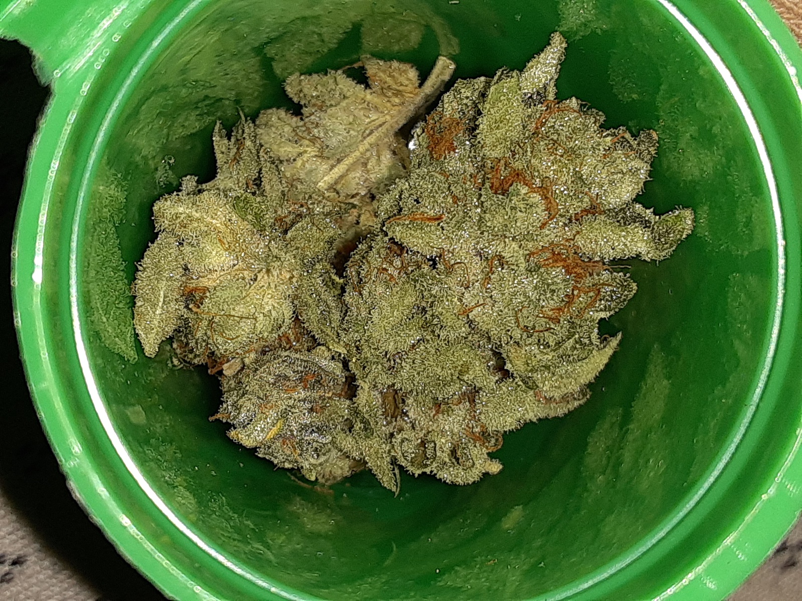 Dosi OG