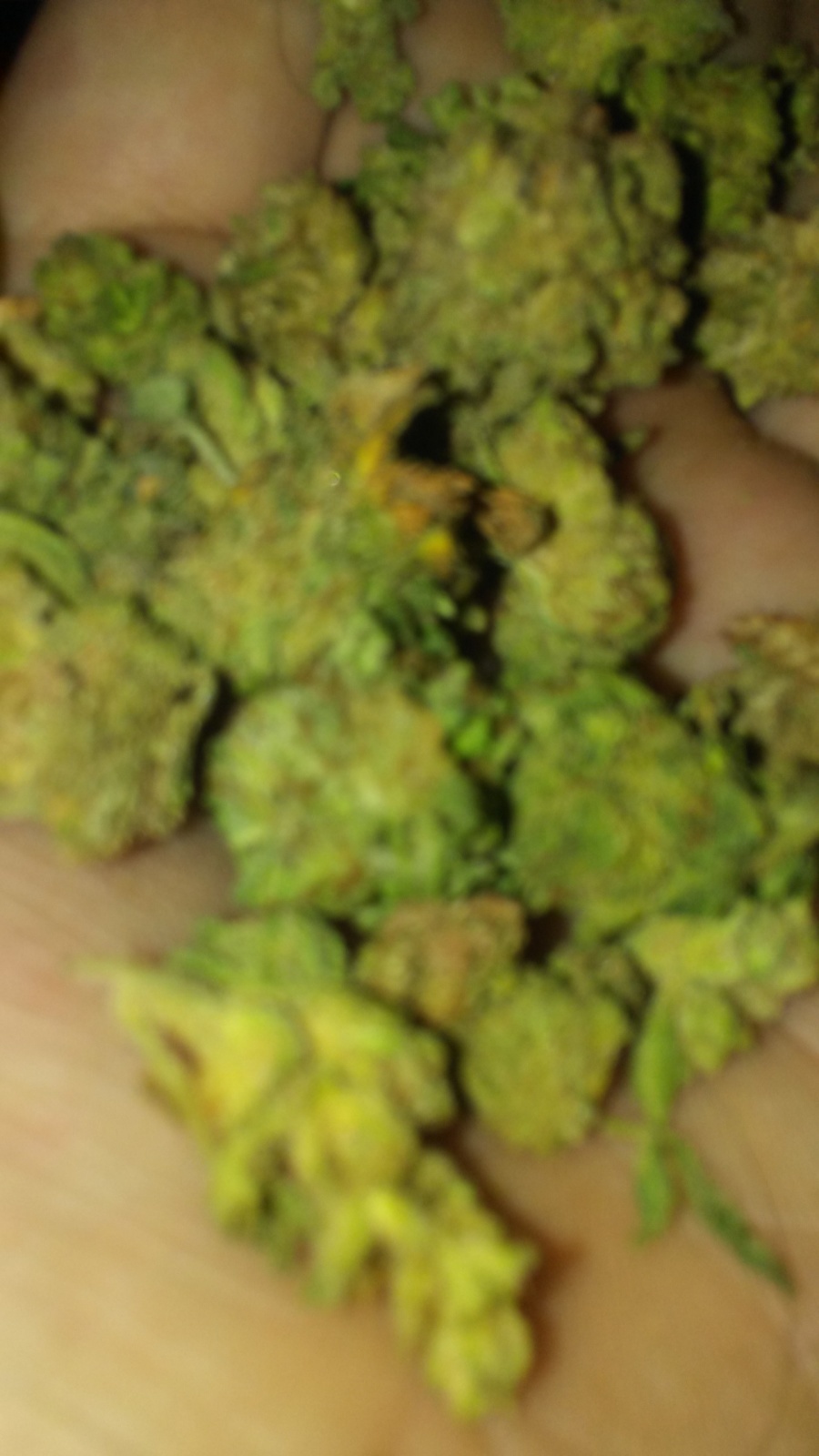 Double Glock