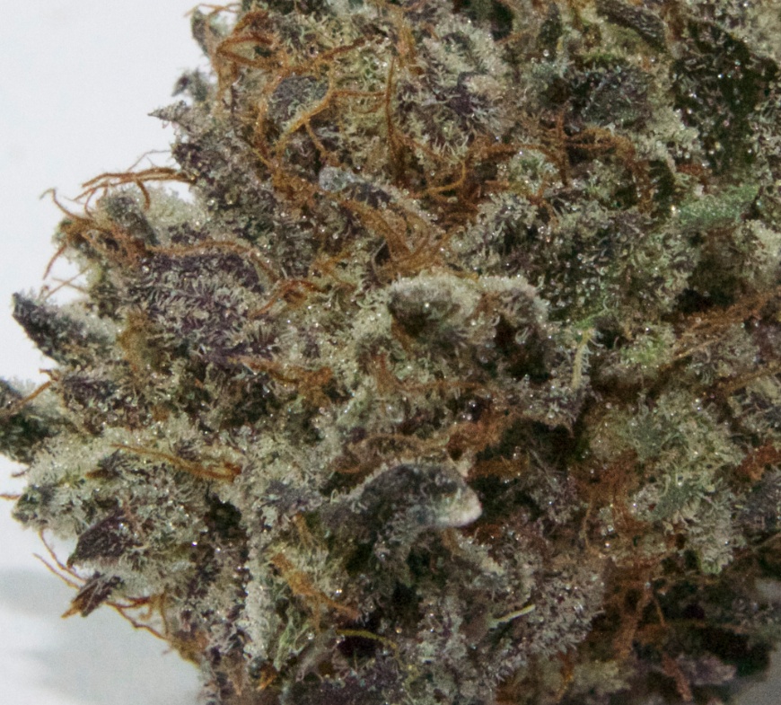 Dr. Funk