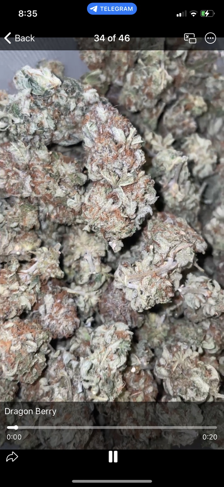 Dragon Berry