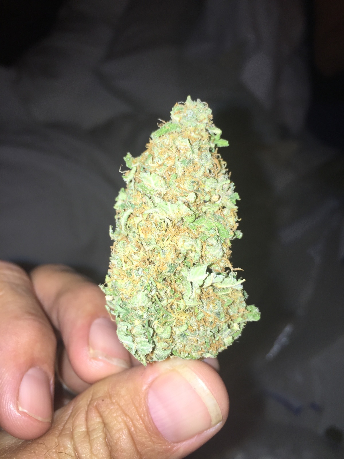 Dragon Crack