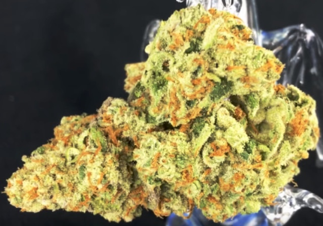 Dragon OG