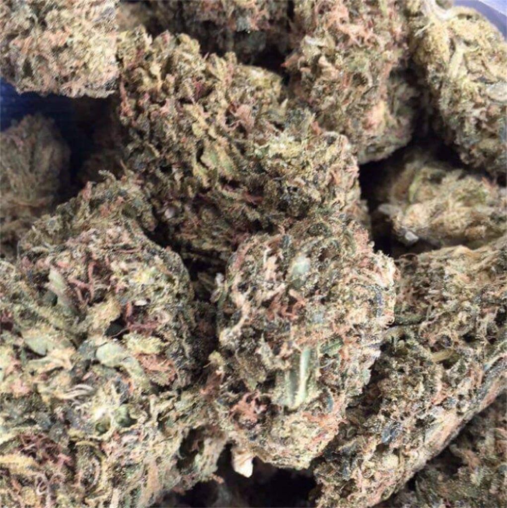 Dream Kush