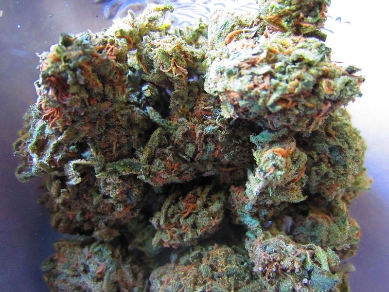 Dreamer's Glass