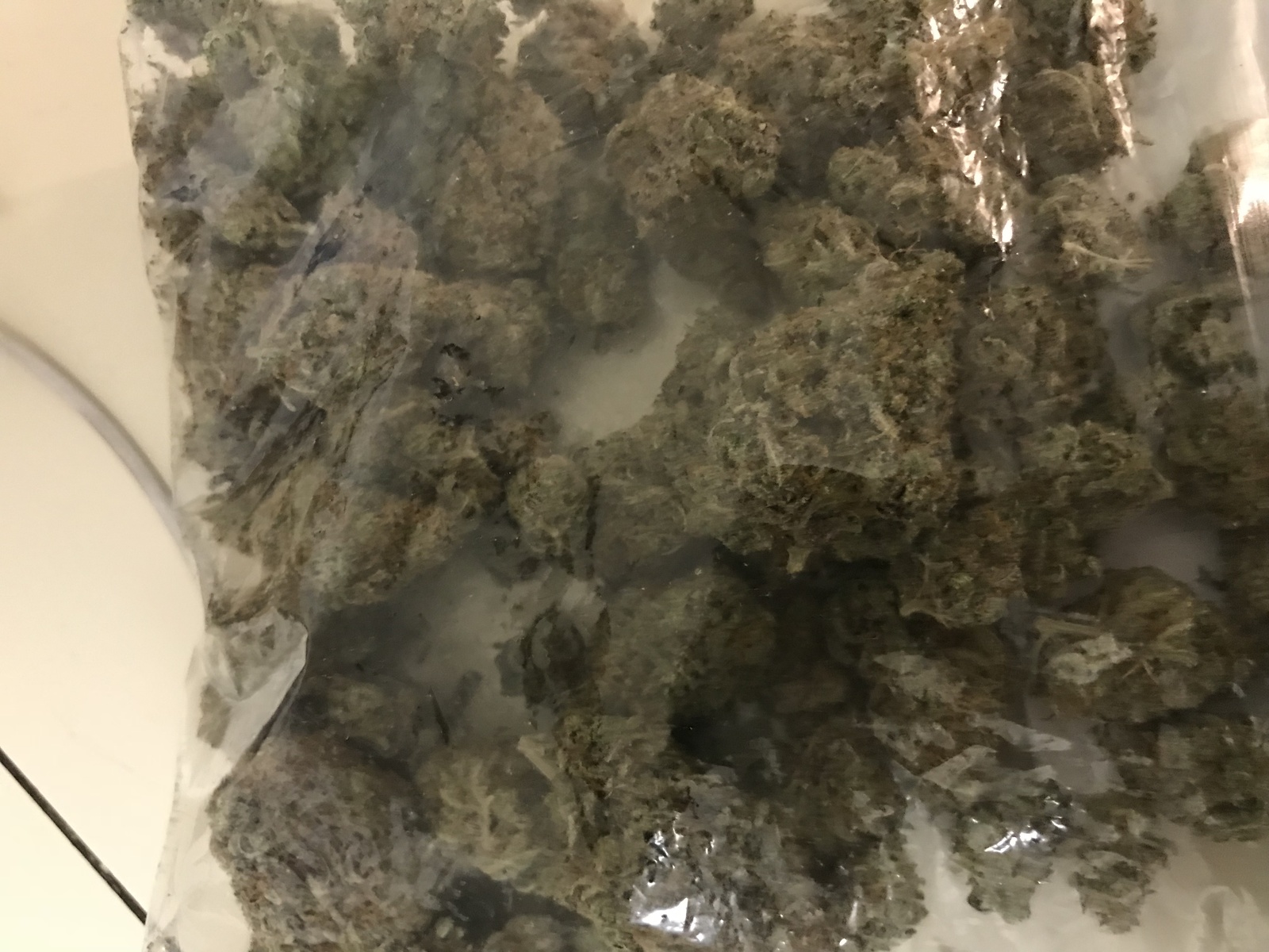 Dumpster OG
