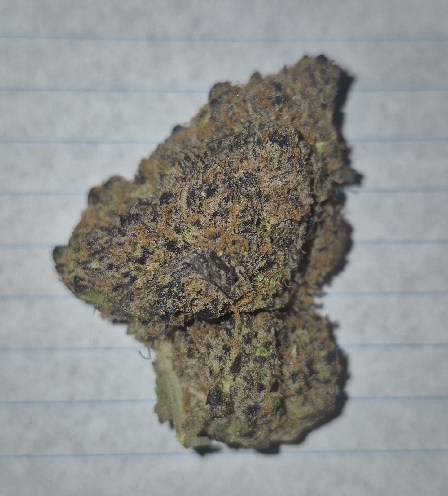 durban cookie