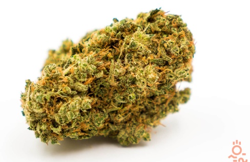 Durban Princess