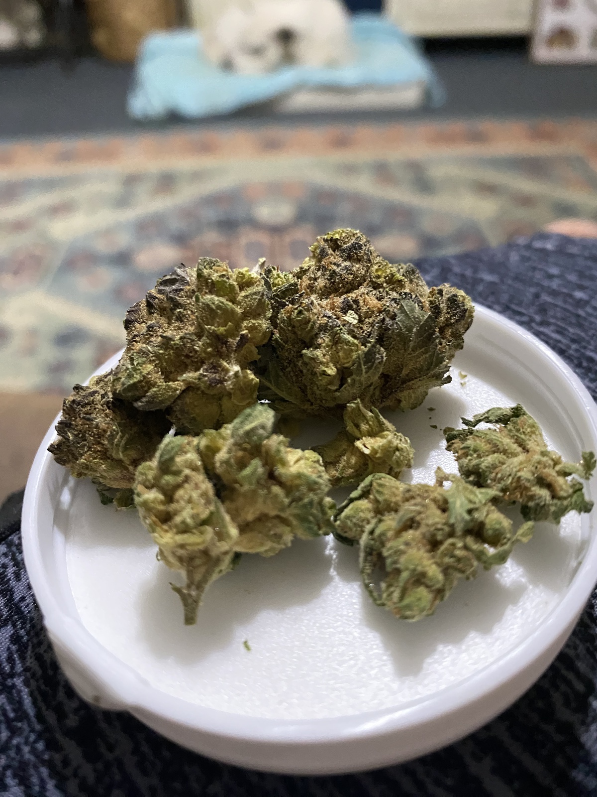 Durban Thai Highflyer