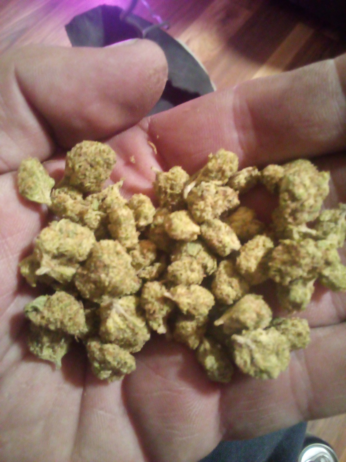 Dutch Berry