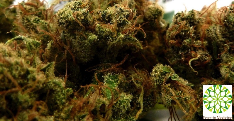 Dutch Crunch