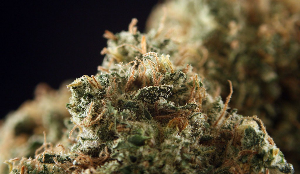 Dutchberry