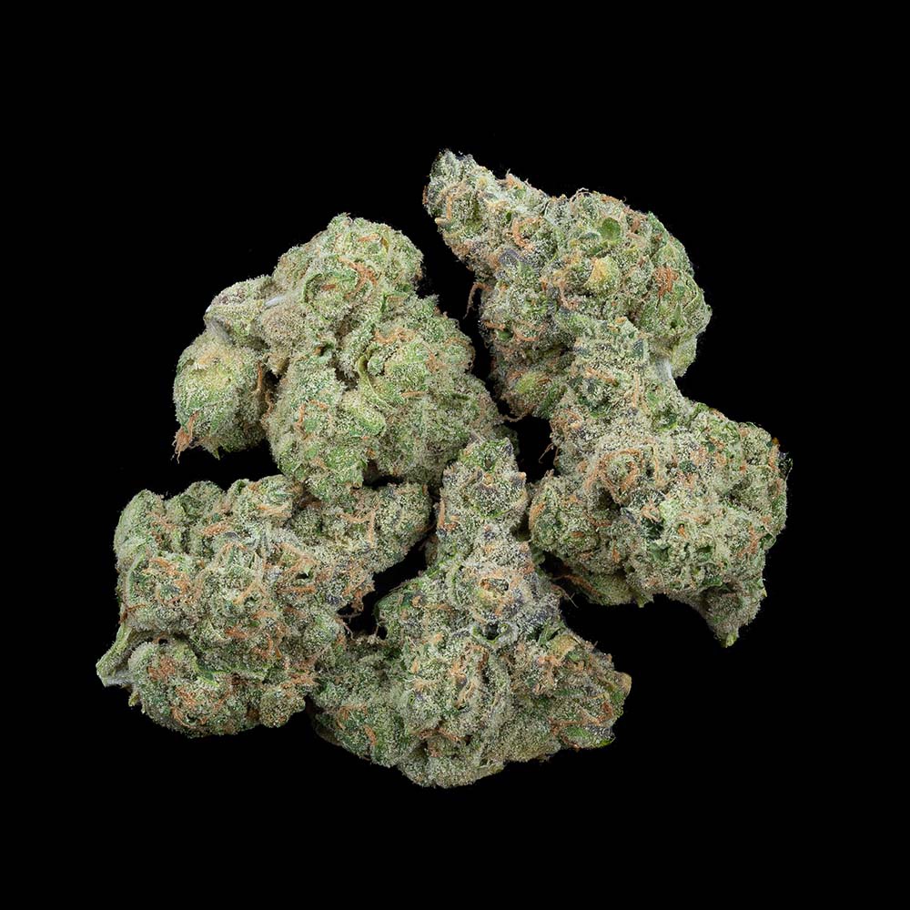 Ecto Cookies