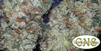 El Diablo OG