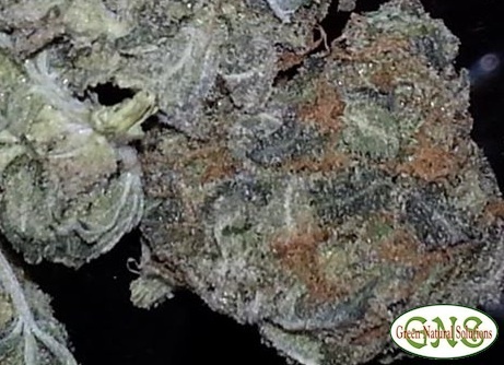 El Fuego Blanco