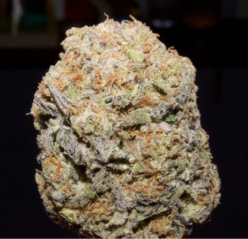 Emerald Jack