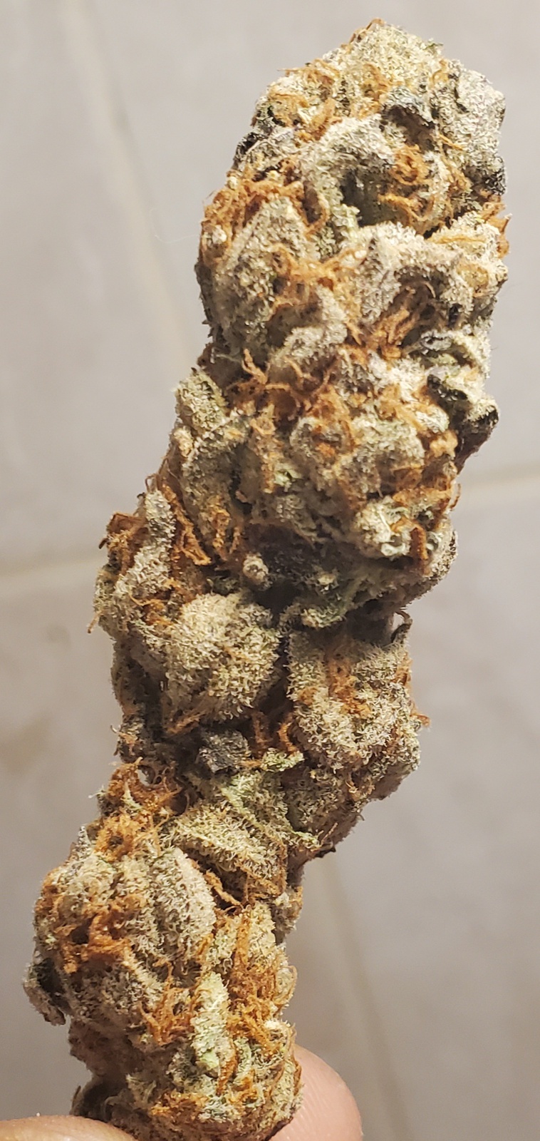 Emerald OG