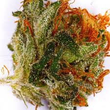 Empress Kush
