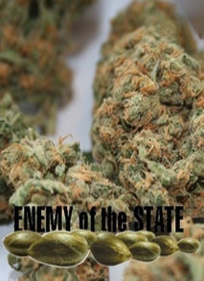 Enemy of the State