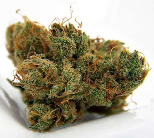Enhanced Dutch Crunch