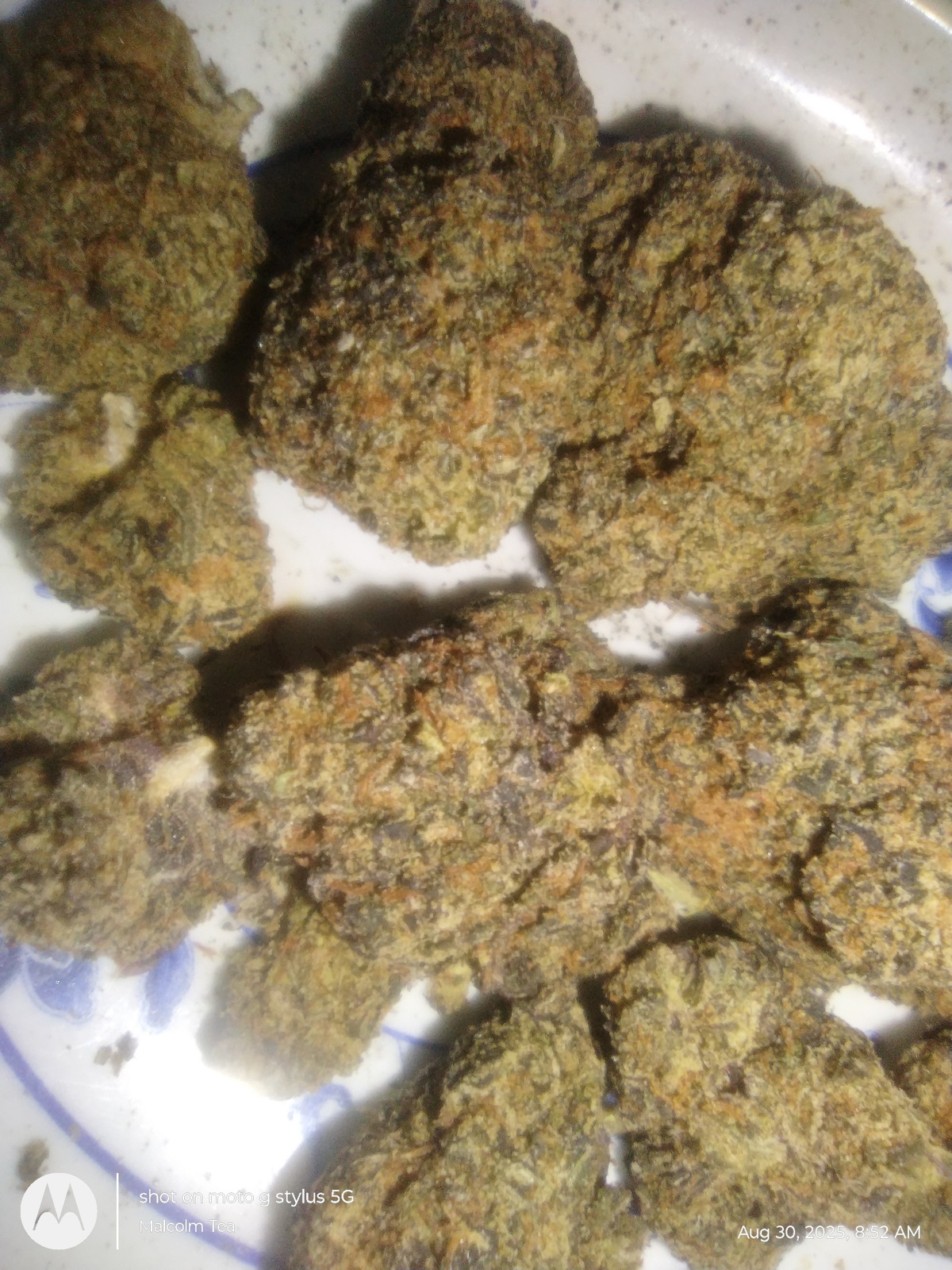 Enzo Kush