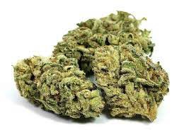 Ethos Glue