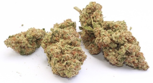 Evergreen Berry